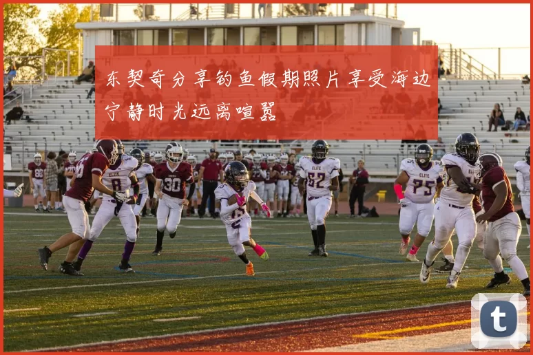 东契奇分享钓鱼假期照片享受海边宁静时光远离喧嚣