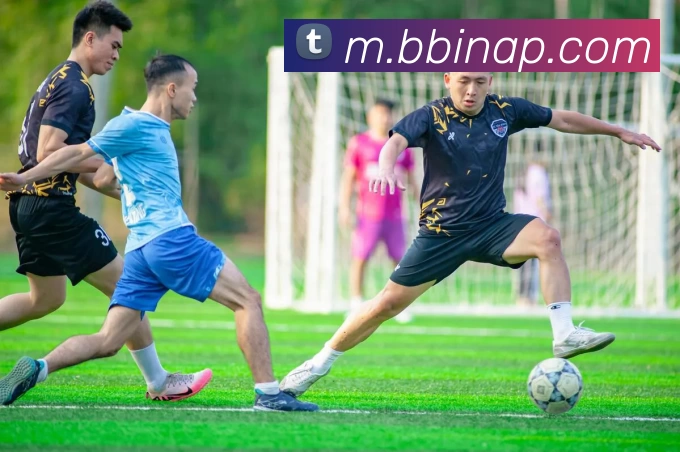 BBIN体育APP 封面图
